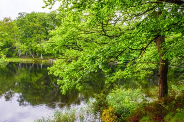 Lac du Lampy Fransa 'nın güneyindeki Occitanie bölgesinde Aude bölgesinde bulunan yapay göl. Bu göl, ormanlarla çevrili muhteşem bir doğal ortamda, Midi Kanalı 'na su sağlar..