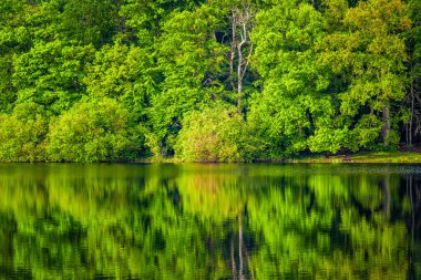 Lac du Lampy Fransa 'nın güneyindeki Occitanie bölgesinde Aude bölgesinde bulunan yapay göl. Bu göl, ormanlarla çevrili muhteşem bir doğal ortamda, Midi Kanalı 'na su sağlar..