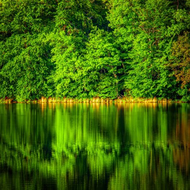 Lac du Lampy Fransa 'nın güneyindeki Occitanie bölgesinde Aude bölgesinde bulunan yapay göl. Bu göl, ormanlarla çevrili muhteşem bir doğal ortamda, Midi Kanalı 'na su sağlar..