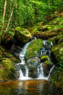Fransa 'daki Lamontlari Komünü' nde küçük bir dere, şelale ve Tarn 'ın çalılıkları.