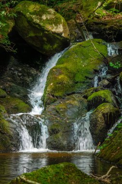 Fransa 'daki Lamontlari Komünü' nde küçük bir dere, şelale ve Tarn 'ın çalılıkları.