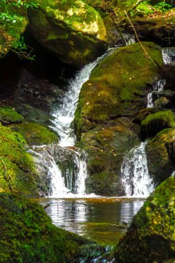 Fransa 'daki Lamontlari Komünü' nde küçük bir dere, şelale ve Tarn 'ın çalılıkları.