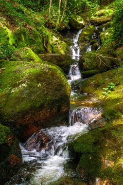Fransa 'daki Lamontlari Komünü' nde küçük bir dere, şelale ve Tarn 'ın çalılıkları.
