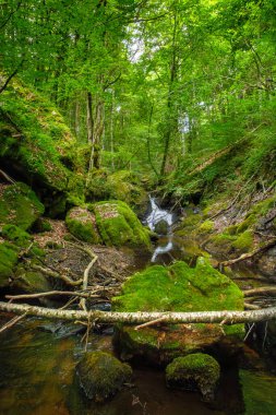 Fransa 'daki Lamontlari Komünü' nde küçük bir dere, şelale ve Tarn 'ın çalılıkları.