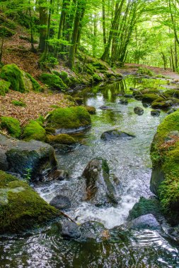 Fransa 'daki Lamontlari Komünü' nde küçük bir dere, şelale ve Tarn 'ın çalılıkları.