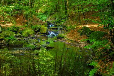 Fransa 'daki Lamontlari Komünü' nde küçük bir dere, şelale ve Tarn 'ın çalılıkları.