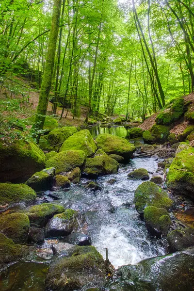 Fransa 'daki Lamontlari Komünü' nde küçük bir dere, şelale ve Tarn 'ın çalılıkları.