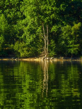 Göldeki Lac de la Ravige, Haut-Languedoc Massif 'de bulunan yapay göl. Ormanlarla çevrili olan bina, yüzme, balık tutma ve yürüyüş olanakları sunuyor. 700 metre yükseklikte yer alan bina, doğal sakinliğiyle ödüllendiriliyor..