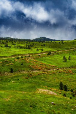 Col de Pailheres resimleri. Bu dağ Fransız Pireneleri 'ndeki Arige bölümünde yer alıyor. Bu geçit, Pireneler dağlarındaki Mijans kasabasının 2,001 metre yukarısında son buluyor..