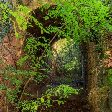 Fransa 'da Aveyron' da küçük bir köy köprüsü
