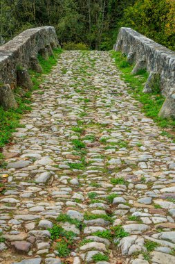 Fransa 'da Aveyron' da küçük bir köy köprüsü