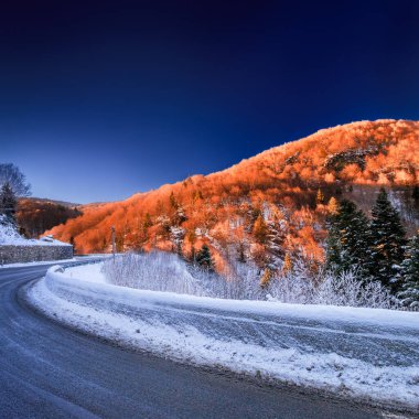 Fransız Pirenesi 'nde kar ve ormanlar