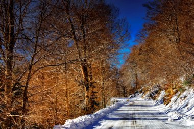 Fransız Pirenesi dağlarında kar ve ormanlar