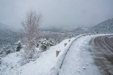 Forest landscape under fresh snow in Camurac in the French Pyrenees. clipart