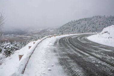Fransız Pirenesi 'ndeki Camurac' ta taze kar altında orman manzarası.