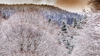Escouloubres Vadisi 'nin manzarası karın altında, Pireneler' de, Fransa 'da