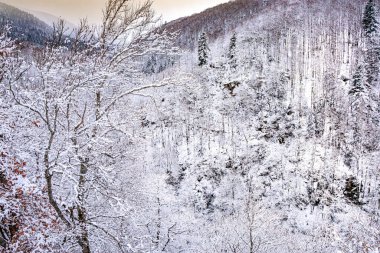 Escouloubres Vadisi 'nin manzarası karın altında, Pireneler' de, Fransa 'da