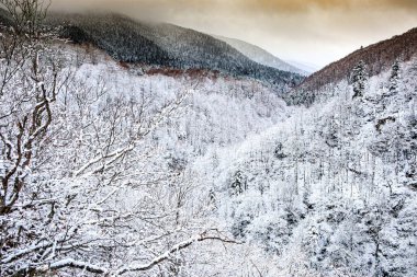 Escouloubres Vadisi 'nin manzarası karın altında, Pireneler' de, Fransa 'da