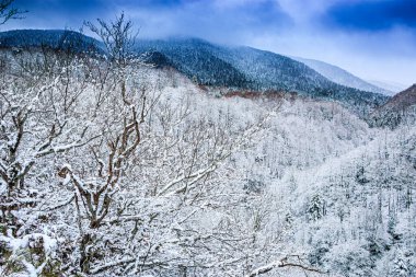 Escouloubres Vadisi 'nin manzarası karın altında, Pireneler' de, Fransa 'da