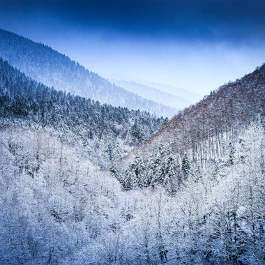 Escouloubres Vadisi 'nin manzarası karın altında, Pireneler' de, Fransa 'da