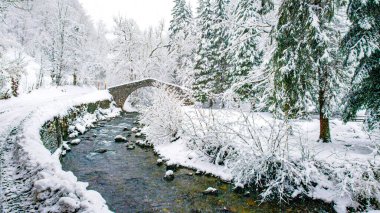 Haute Savoie nehri ve köprüsü, ormanda, ağaçlar karların altında, Fransız Alplerinde.