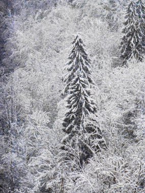 Fransa 'nın Haute Savoie şehrinde karlı manzaralar