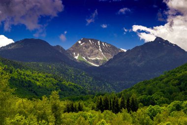 Pireneler 'deki dağ manzarası. İlkbaharda Pireneler' de Mijanes. Mavi gökyüzü ve bulutlar yeşil bir zemine karşı.