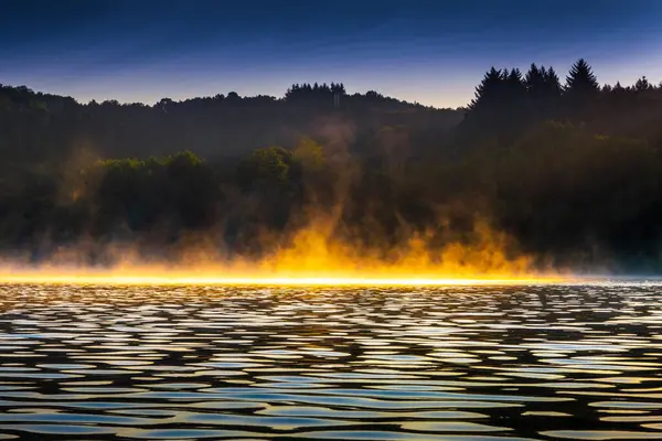 Fransa 'nın güneyindeki La Ravire Gölü üzerindeki gündoğumu manzarası. Güneş ışığı gölden yükselen sisle birlikte sakin suları yansıtıyor. Suya yansıyan ağaç.