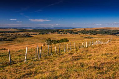 Çürük tarlalar ve Aubrac.Ovanın ufku. Fransız Occitan 'ının ortasındaki dağlarda ve tepelerde..