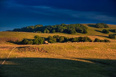 Çürük tarlalar ve Aubrac.Ovanın ufku. Fransız Occitan 'ının ortasındaki dağlarda ve tepelerde..