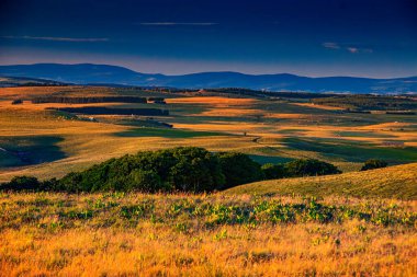 Çürük tarlalar ve Aubrac.Ovanın ufku. Fransız Occitan 'ının ortasındaki dağlarda ve tepelerde..