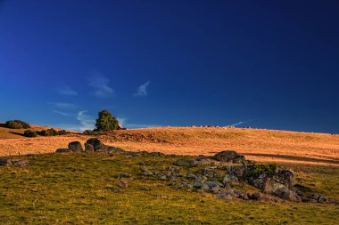 Çürük tarlalar ve Aubrac.Ovanın ufku. Fransız Occitan 'ının ortasındaki dağlarda ve tepelerde..