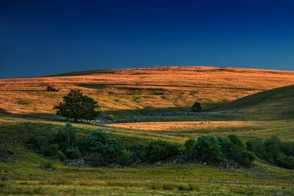 Çürük tarlalar ve Aubrac.Ovanın ufku. Fransız Occitan 'ının ortasındaki dağlarda ve tepelerde..