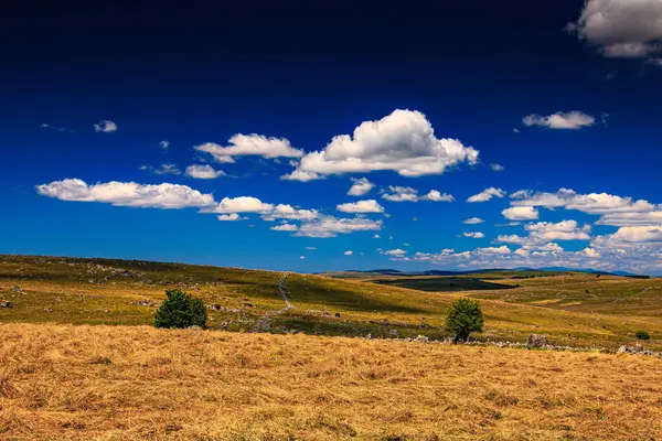 Çürük tarlalar ve Aubrac.Ovanın ufku. Fransız Occitan 'ının ortasındaki dağlarda ve tepelerde..