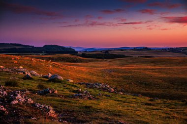 Aubrac dağlarında akşam manzarası. Fransa 'nın merkezinde taş ve kaya duvarları olan güzel bir bahar akşamı..