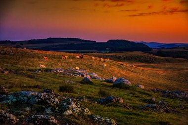 Aubrac dağlarında akşam manzarası. Fransa 'nın merkezinde taş ve kaya duvarları olan güzel bir bahar akşamı..