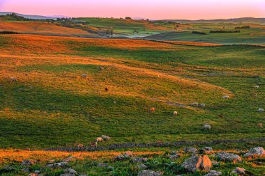 Aubrac dağlarında akşam manzarası. Fransa 'nın merkezinde taş ve kaya duvarları olan güzel bir bahar akşamı..