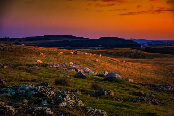 Aubrac dağlarında akşam manzarası. Fransa 'nın merkezinde taş ve kaya duvarları olan güzel bir bahar akşamı..