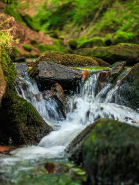 Fransa 'nın güneyindeki Lamontlari komününde küçük şelaleleri olan küçük bir dere. Tarn ve Occitanie Bölgesi 'nde bulunan yeşil yosunlarla dolu bir su yolu..