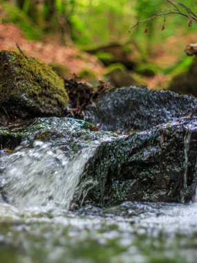 Fransa 'nın güneyindeki Lamontlari komününde küçük şelaleleri olan küçük bir dere. Tarn ve Occitanie Bölgesi 'nde bulunan yeşil yosunlarla dolu bir su yolu..