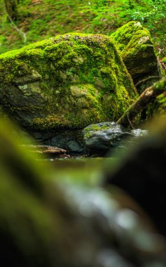 Fransa 'nın güneyindeki Lamontlari komününde küçük şelaleleri olan küçük bir dere. Tarn ve Occitanie Bölgesi 'nde bulunan yeşil yosunlarla dolu bir su yolu..