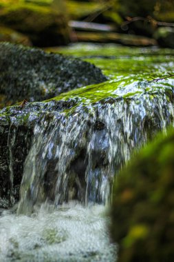 Fransa 'nın güneyindeki Lamontlari komününde küçük şelaleleri olan küçük bir dere. Tarn ve Occitanie Bölgesi 'nde bulunan yeşil yosunlarla dolu bir su yolu..