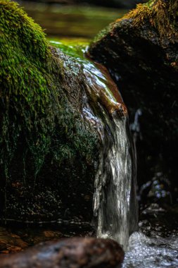 Fransa 'nın güneyindeki Lamontlari komününde küçük şelaleleri olan küçük bir dere. Tarn ve Occitanie Bölgesi 'nde bulunan yeşil yosunlarla dolu bir su yolu..