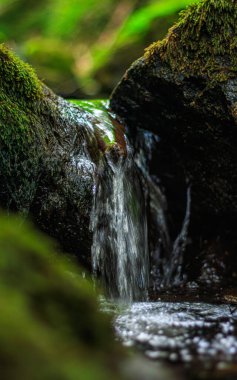 Fransa 'nın güneyindeki Lamontlari komününde küçük şelaleleri olan küçük bir dere. Tarn ve Occitanie Bölgesi 'nde bulunan yeşil yosunlarla dolu bir su yolu..