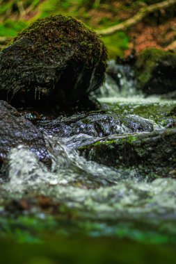 Fransa 'nın güneyindeki Lamontlari komününde küçük şelaleleri olan küçük bir dere. Tarn ve Occitanie Bölgesi 'nde bulunan yeşil yosunlarla dolu bir su yolu..