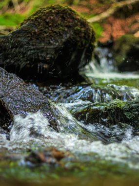 Fransa 'nın güneyindeki Lamontlari komününde küçük şelaleleri olan küçük bir dere. Tarn ve Occitanie Bölgesi 'nde bulunan yeşil yosunlarla dolu bir su yolu..