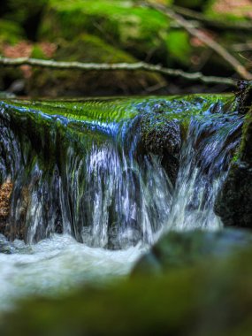 Fransa 'nın güneyindeki Lamontlari komününde küçük şelaleleri olan küçük bir dere. Tarn ve Occitanie Bölgesi 'nde bulunan yeşil yosunlarla dolu bir su yolu..