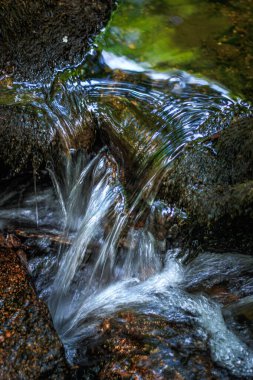 Fransa 'nın güneyindeki Lamontlari komününde küçük şelaleleri olan küçük bir dere. Tarn ve Occitanie Bölgesi 'nde bulunan yeşil yosunlarla dolu bir su yolu..