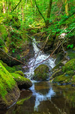Fransa 'nın güneyindeki Lamontlari komününde küçük şelaleleri olan küçük bir dere. Tarn ve Occitanie Bölgesi 'nde bulunan yeşil yosunlarla dolu bir su yolu..
