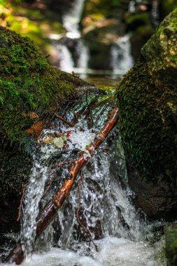 Fransa 'nın güneyindeki Lamontlari komününde küçük şelaleleri olan küçük bir dere. Tarn ve Occitanie Bölgesi 'nde bulunan yeşil yosunlarla dolu bir su yolu..